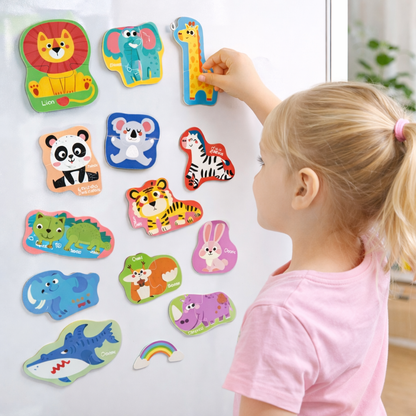 Magnetic Early Education Puzzle Set